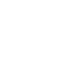 logo magna